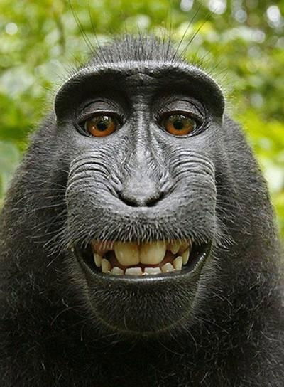 Сергей Скорицкий