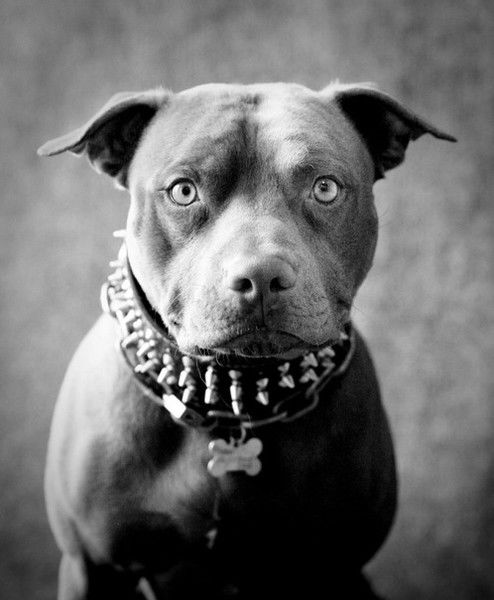 Александр Миляев