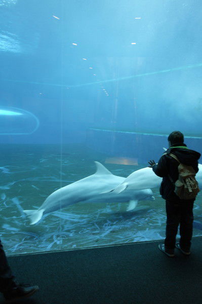 Эльвира Шепелявая