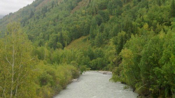 Сергей Шумиков