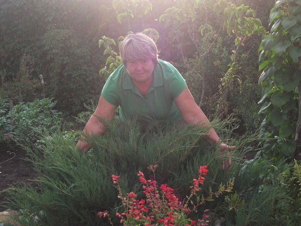 Роза Гайворонская