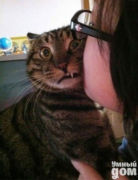 Ольга Молоткова