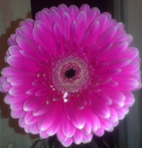 Ирина Крюковская