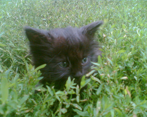 Нина Смирнова