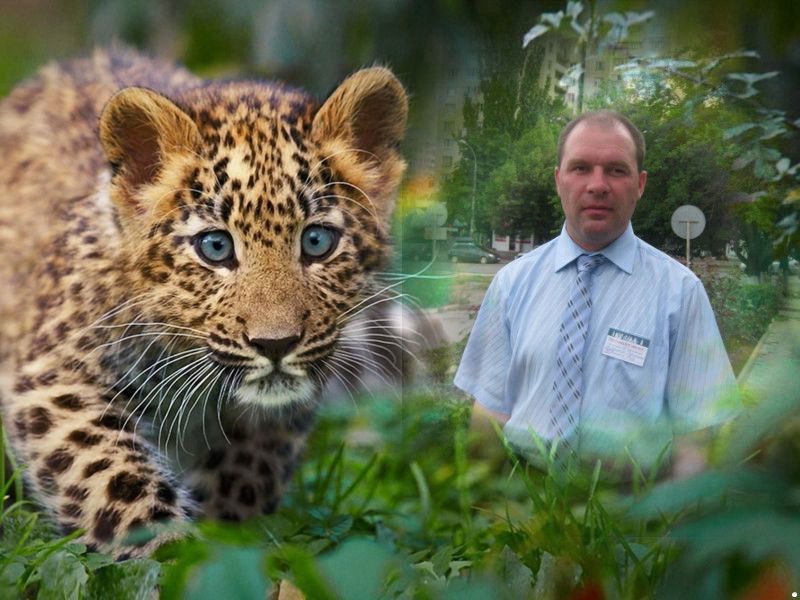 Владимир Пархоменко