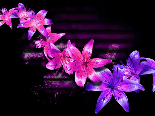 Кристина Лещенко