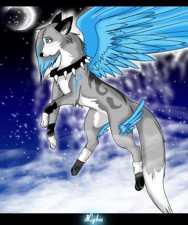 Алёна Стежка