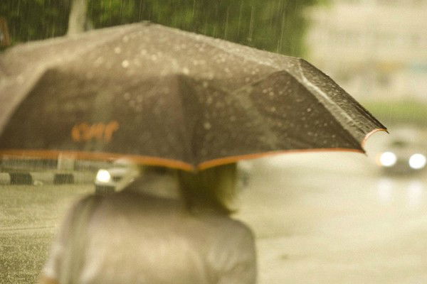 Диана Дикушина