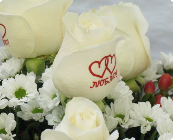 Оленька Сторчилова