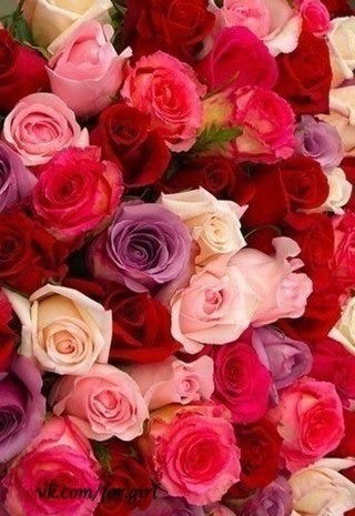 Айгуль Успанова