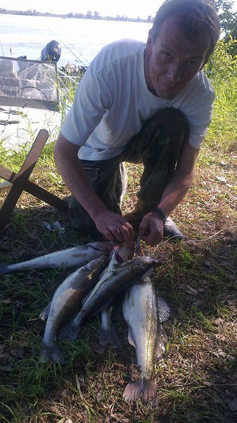 Сергей Огурцов