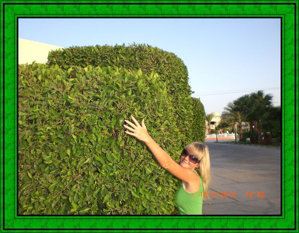 Ольга Громова