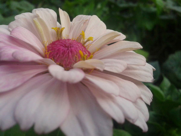 Татьяна Топольник