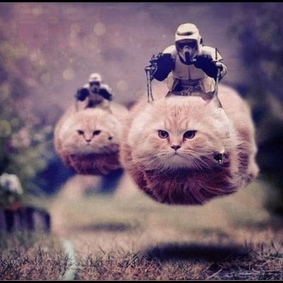 Данил Буркин