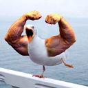 Колян D