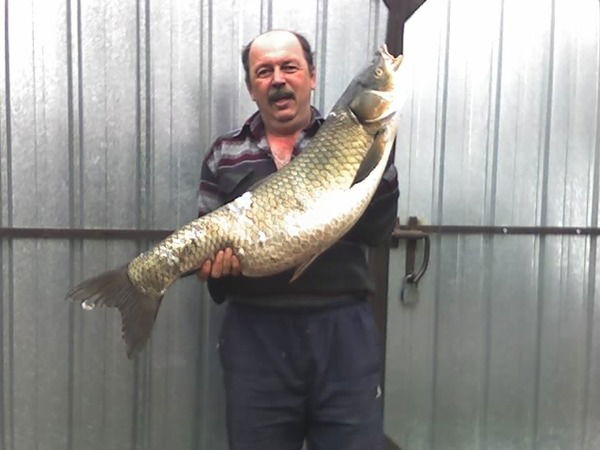 Валерий Хотько