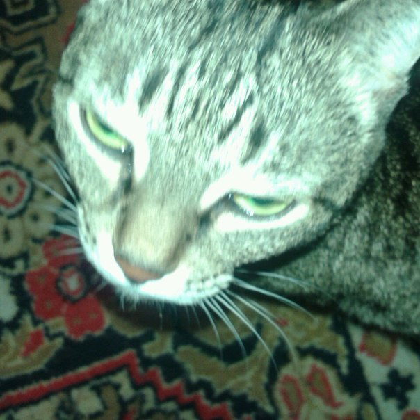 Лола Силина