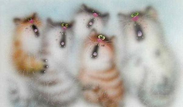 Олеся Чемохуд