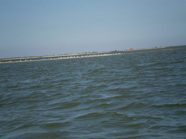 Татьяна Часовникова