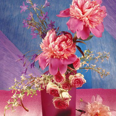 Екатерина Коршикова