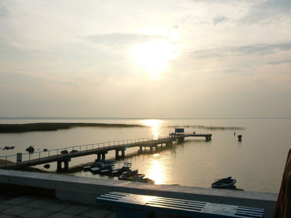 Елена Сахарова