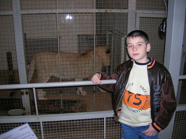 Данил Горкин