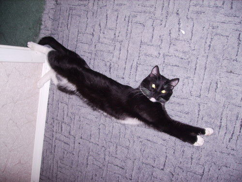 Руслан Михеев