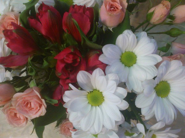 Татьяна Казачкова