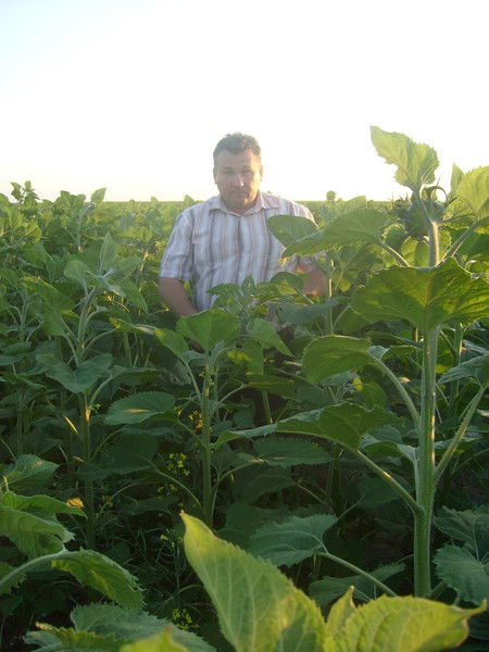 Соломко Николай