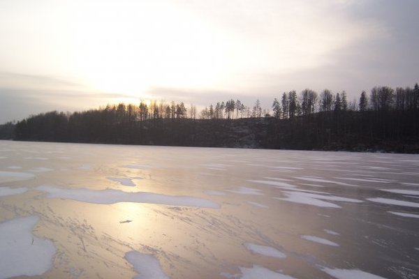 Дима Дмитриев