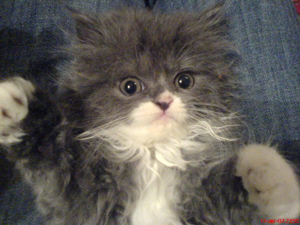 Виталий Баштовой