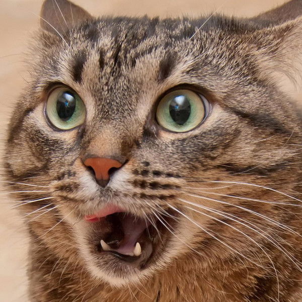 Витя Иванов