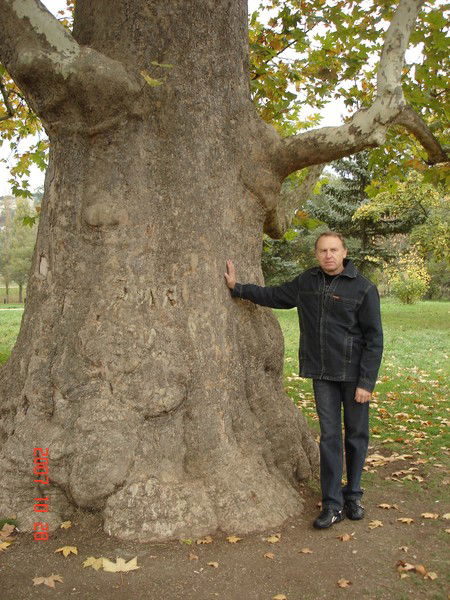 Александр Овчинников