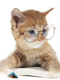 Лариса Цысс