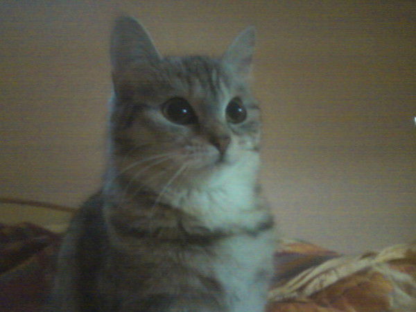 Татьяна Фоломешкина