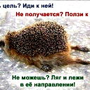 Арсерик Агданов