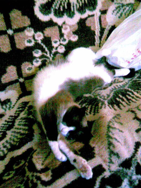 Рашид Мустафин