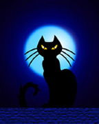 Александр Александр