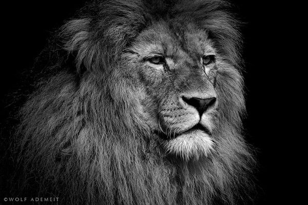 Александр Колистратов