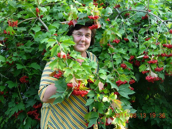 Неизвестно Неизвестно