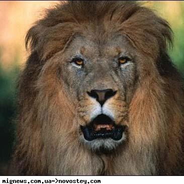 Александр Саражин