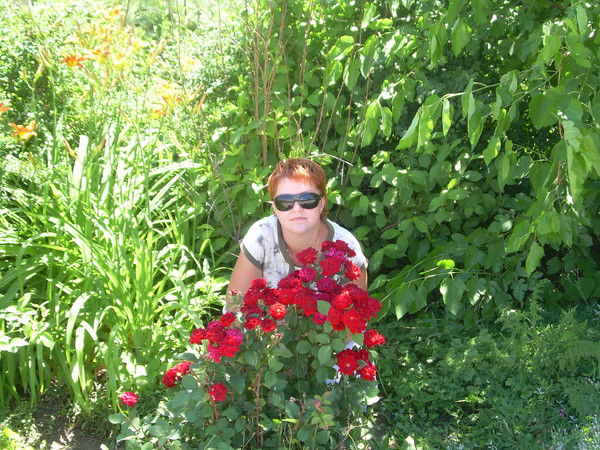 Елена Романенко