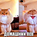 Макар Мартыненко