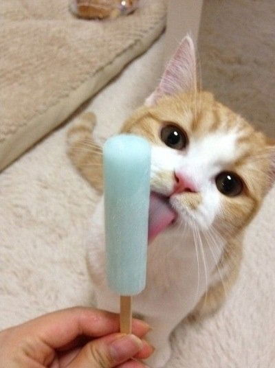 Инна Рязанцева