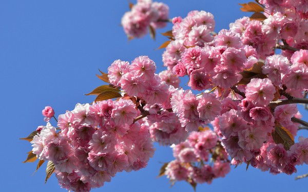 Наталья Тарасенко