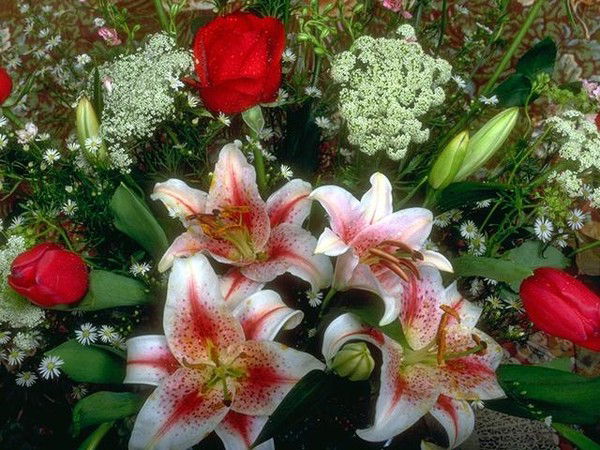 Неизвестно Неизвестно