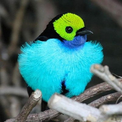 Александра Шершикова