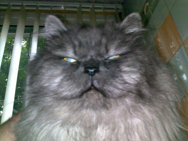 Татьяна Татьяна