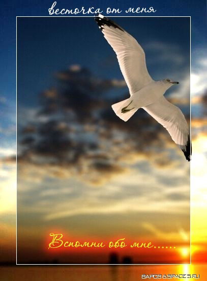 Димон Гарюшкин