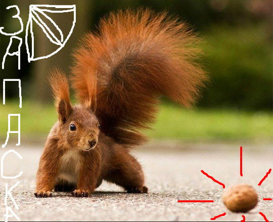 Визитки Чита